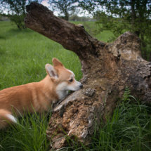 © Frech-Fuchs Photographie / Janine Huber