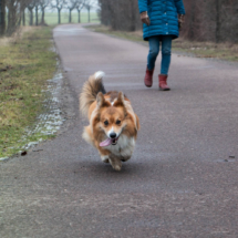 © Frech-Fuchs Photographie / Janine Huber