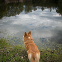 © Frech-Fuchs Photographie / Janine Huber