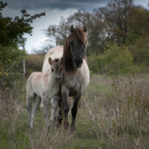 © Frech-Fuchs Photographie / Janine Huber