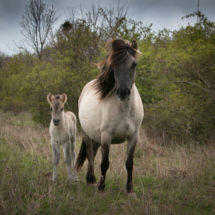 © Frech-Fuchs Photographie / Janine Huber