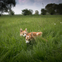 © Frech-Fuchs Photographie / Janine Huber