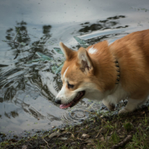 © Frech-Fuchs Photographie / Janine Huber