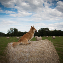 © Frech-Fuchs Photographie / Janine Huber