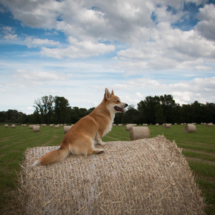 © Frech-Fuchs Photographie / Janine Huber