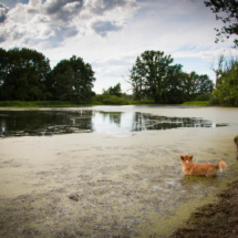 © Frech-Fuchs Photographie / Janine Huber