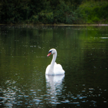 © Frech-Fuchs Photographie / Janine Huber