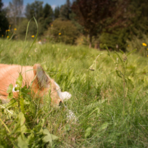 © Frech-Fuchs Photographie / Janine Huber