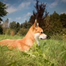 © Frech-Fuchs Photographie / Janine Huber