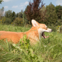 © Frech-Fuchs Photographie / Janine Huber