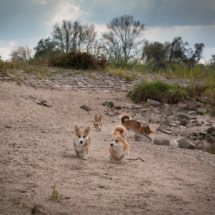 © Frech-Fuchs Photographie / Janine Huber