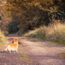 © Frech-Fuchs Photographie / Janine Huber