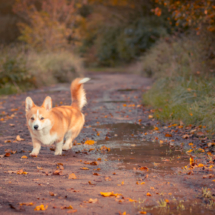 © Frech-Fuchs Photographie / Janine Huber