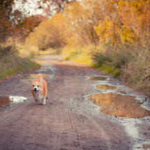 © Frech-Fuchs Photographie / Janine Huber