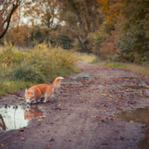 © Frech-Fuchs Photographie / Janine Huber