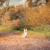 © Frech-Fuchs Photographie / Janine Huber