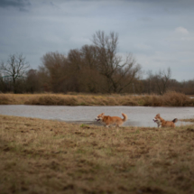 © Frech-Fuchs Photographie / Janine Huber