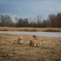 © Frech-Fuchs Photographie / Janine Huber