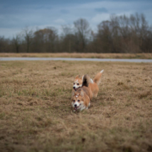 © Frech-Fuchs Photographie / Janine Huber