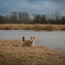 © Frech-Fuchs Photographie / Janine Huber