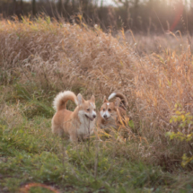 © Frech-Fuchs Photographie / Janine Huber