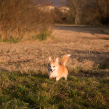 © Frech-Fuchs Photographie / Janine Huber