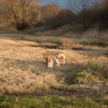 © Frech-Fuchs Photographie / Janine Huber