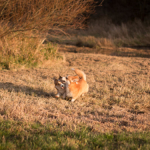 © Frech-Fuchs Photographie / Janine Huber