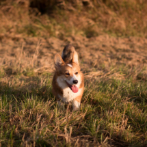 © Frech-Fuchs Photographie / Janine Huber