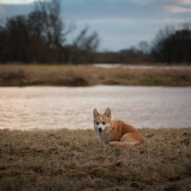 © Frech-Fuchs Photographie / Janine Huber