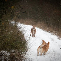 © Frech-Fuchs Photographie / Janine Huber