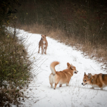 © Frech-Fuchs Photographie / Janine Huber