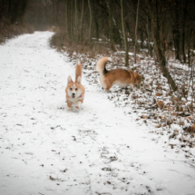 © Frech-Fuchs Photographie / Janine Huber