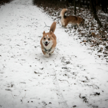 © Frech-Fuchs Photographie / Janine Huber