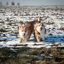 © Frech-Fuchs Photographie / Janine Huber