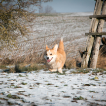 © Frech-Fuchs Photographie / Janine Huber