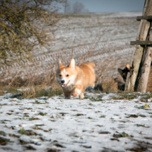 © Frech-Fuchs Photographie / Janine Huber