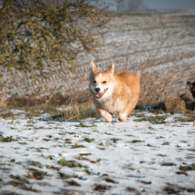 © Frech-Fuchs Photographie / Janine Huber