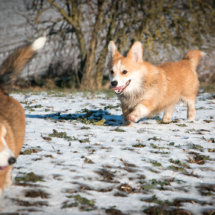 © Frech-Fuchs Photographie / Janine Huber