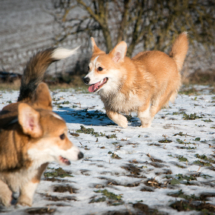 © Frech-Fuchs Photographie / Janine Huber