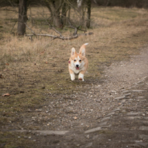 © Frech-Fuchs Photographie / Janine Huber