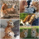 © Frech-Fuchs Photographie / Janine Huber