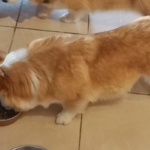 Foto: Nancy Leetz-Rosenbohm