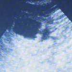 Foto: Nancy Leetz-Rosenbohm