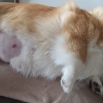 Foto: Nancy Leetz-Rosenbohm