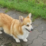 Foto: Nancy Leetz-Rosenbohm