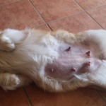 Foto: Nancy Leetz-Rosenbohm