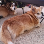 Foto: Nancy Leetz-Rosenbohm