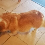 Foto: Nancy Leetz-Rosenbohm