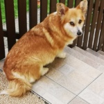 Foto: Nancy Leetz-Rosenbohm